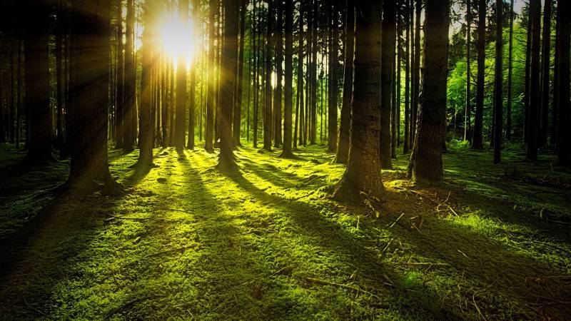 Spirituality And Science: Both Call For Protection Of Environment